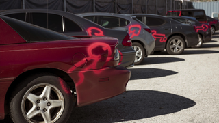 <i>American Vandal</i>'s Emmy campaign keeps its eyes planted firmly on the dicks